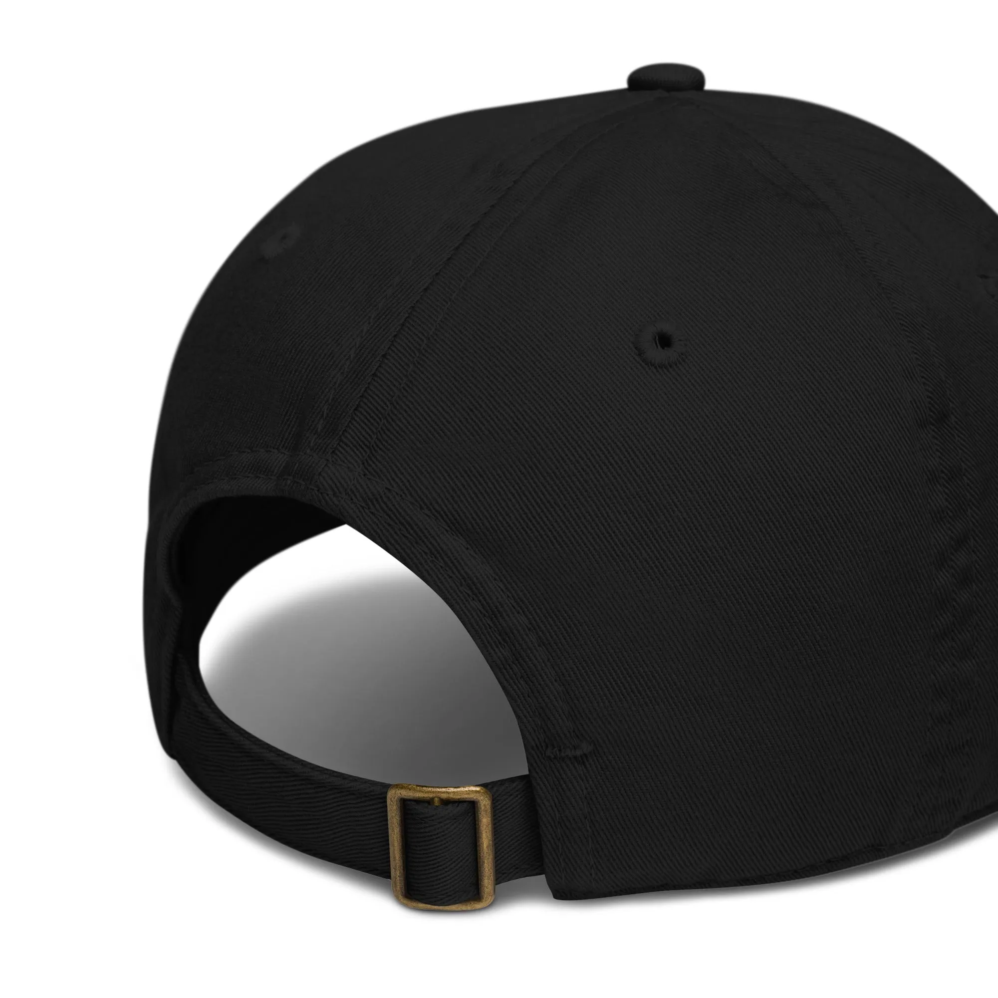 Earth Eco Baseball Cap