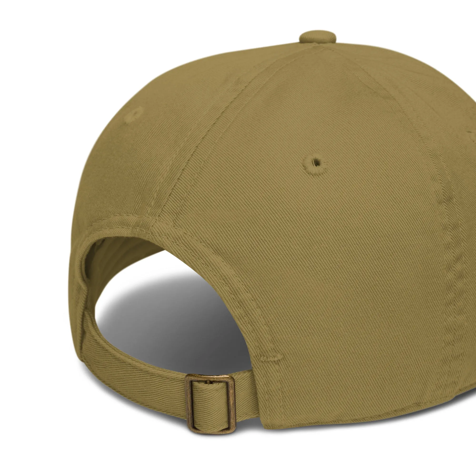 Earth Eco Baseball Cap