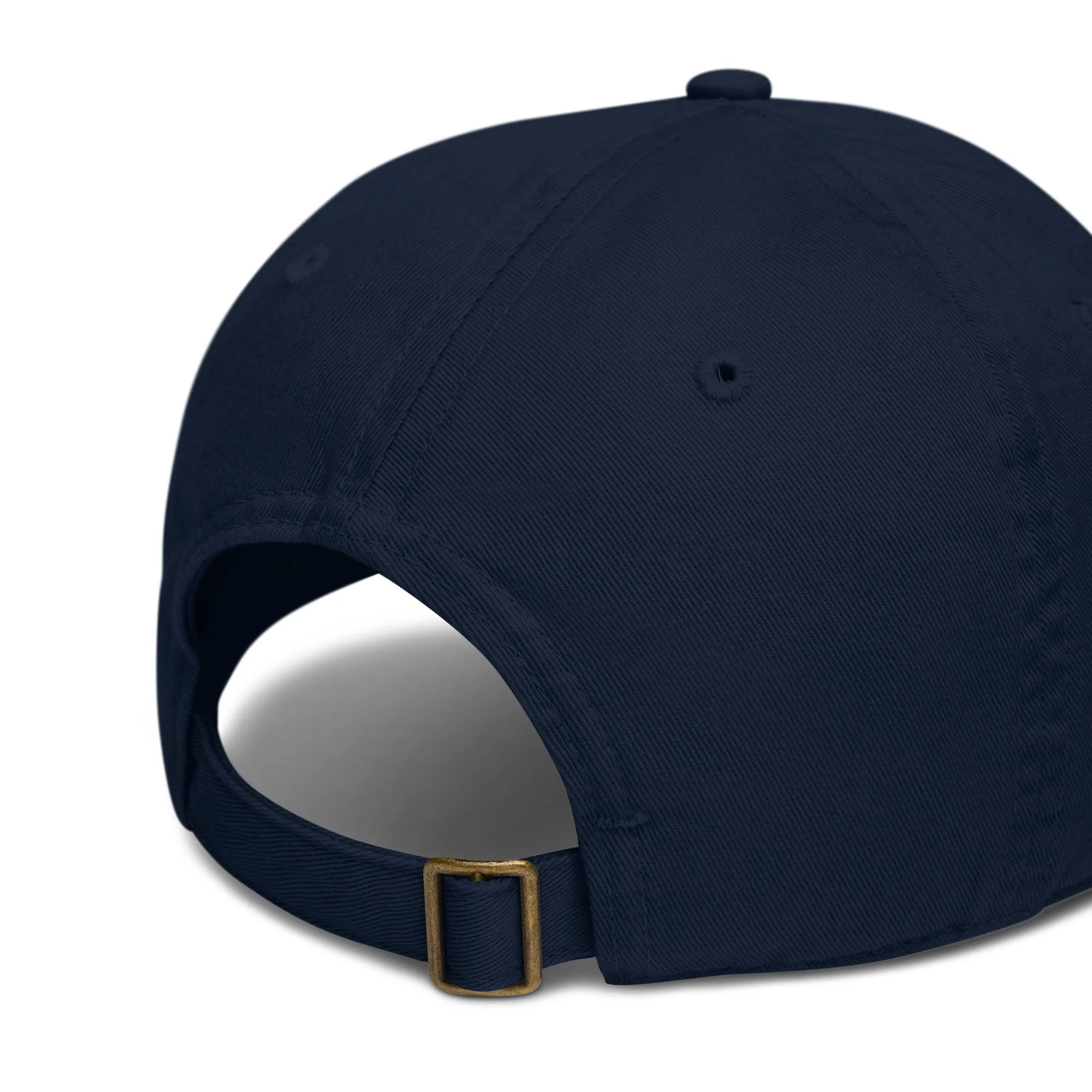 Earth Eco Baseball Cap
