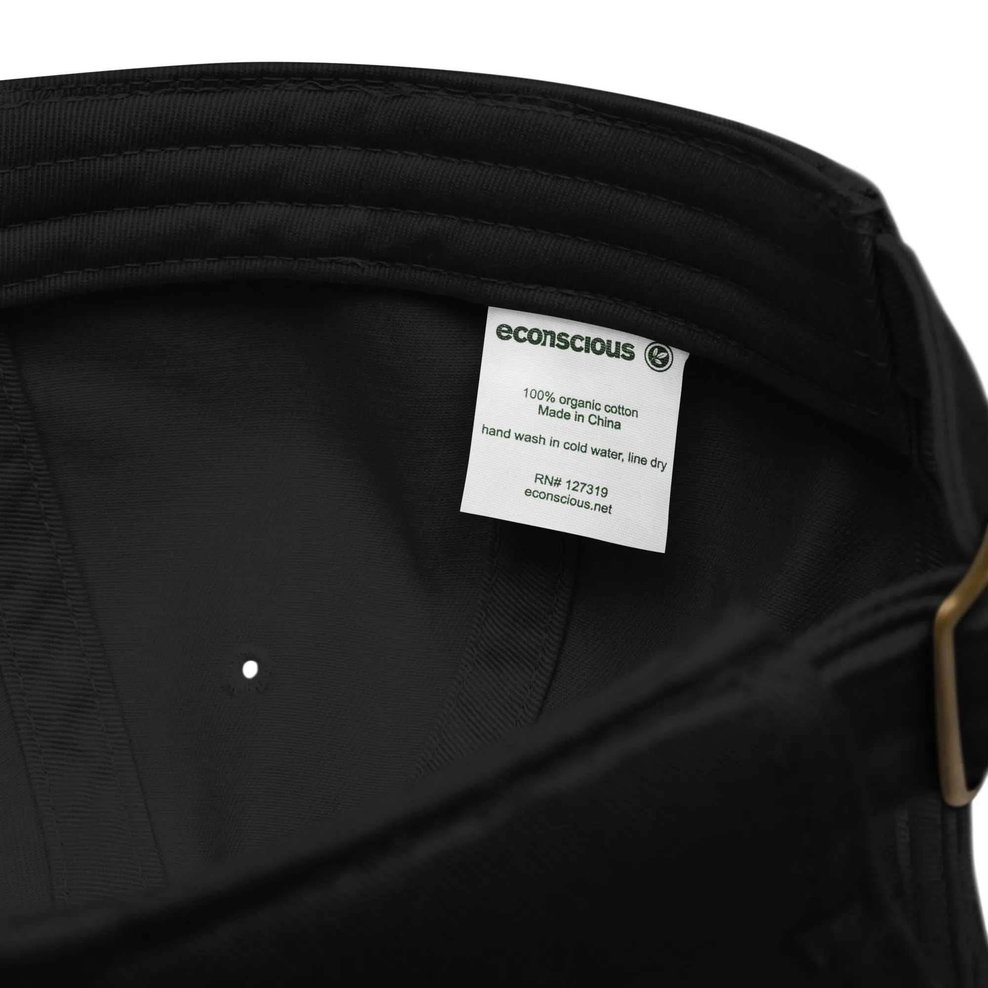 Earth Eco Baseball Cap