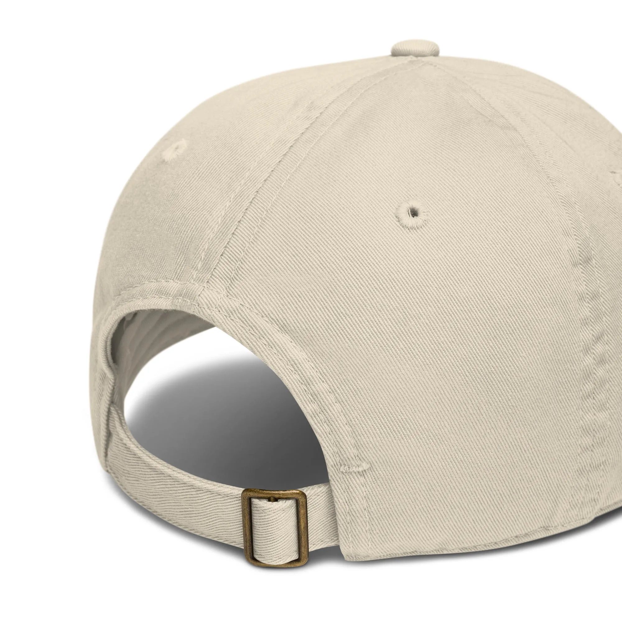 Earth Eco Baseball Cap