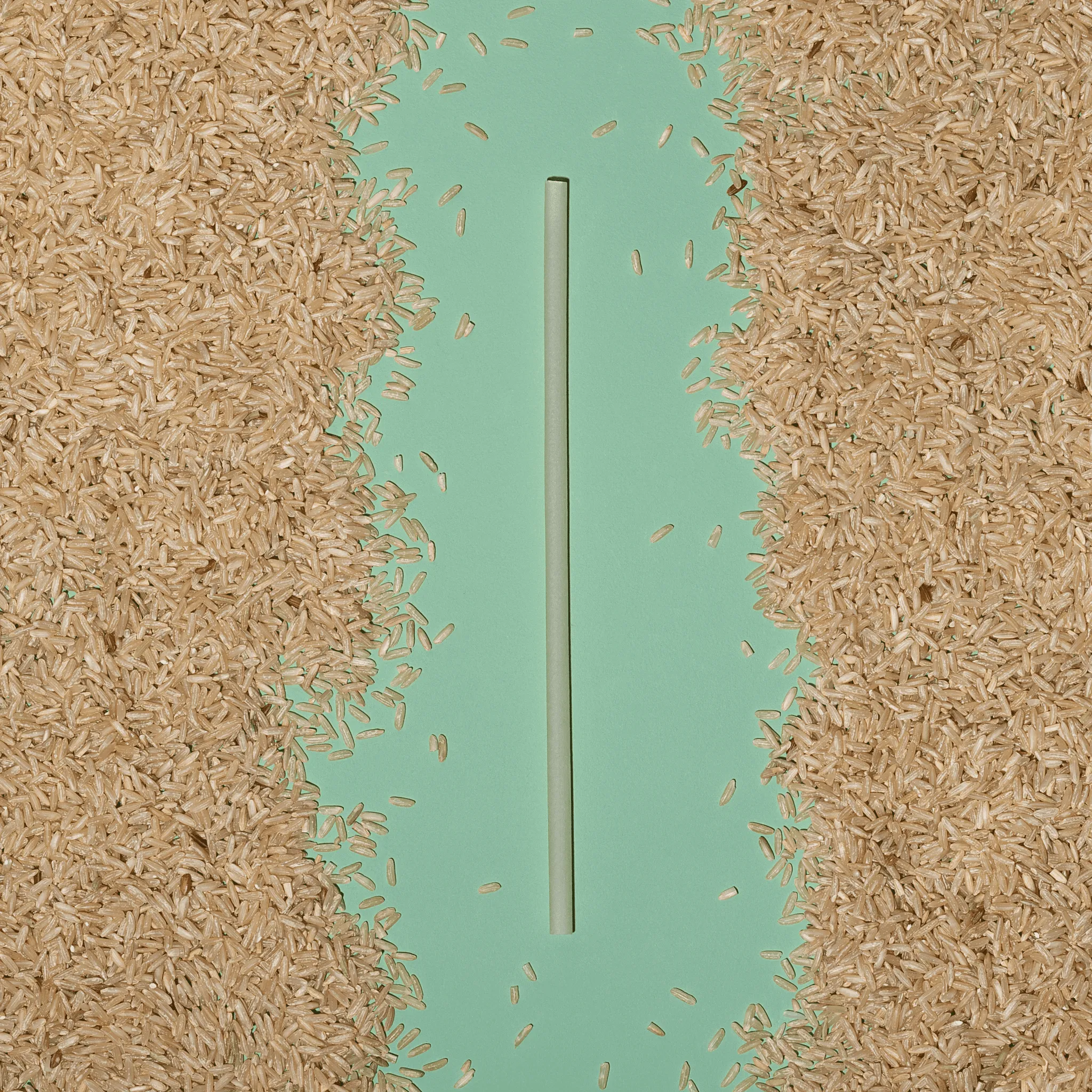 EcoSmart Supply Co. The Rice Straw