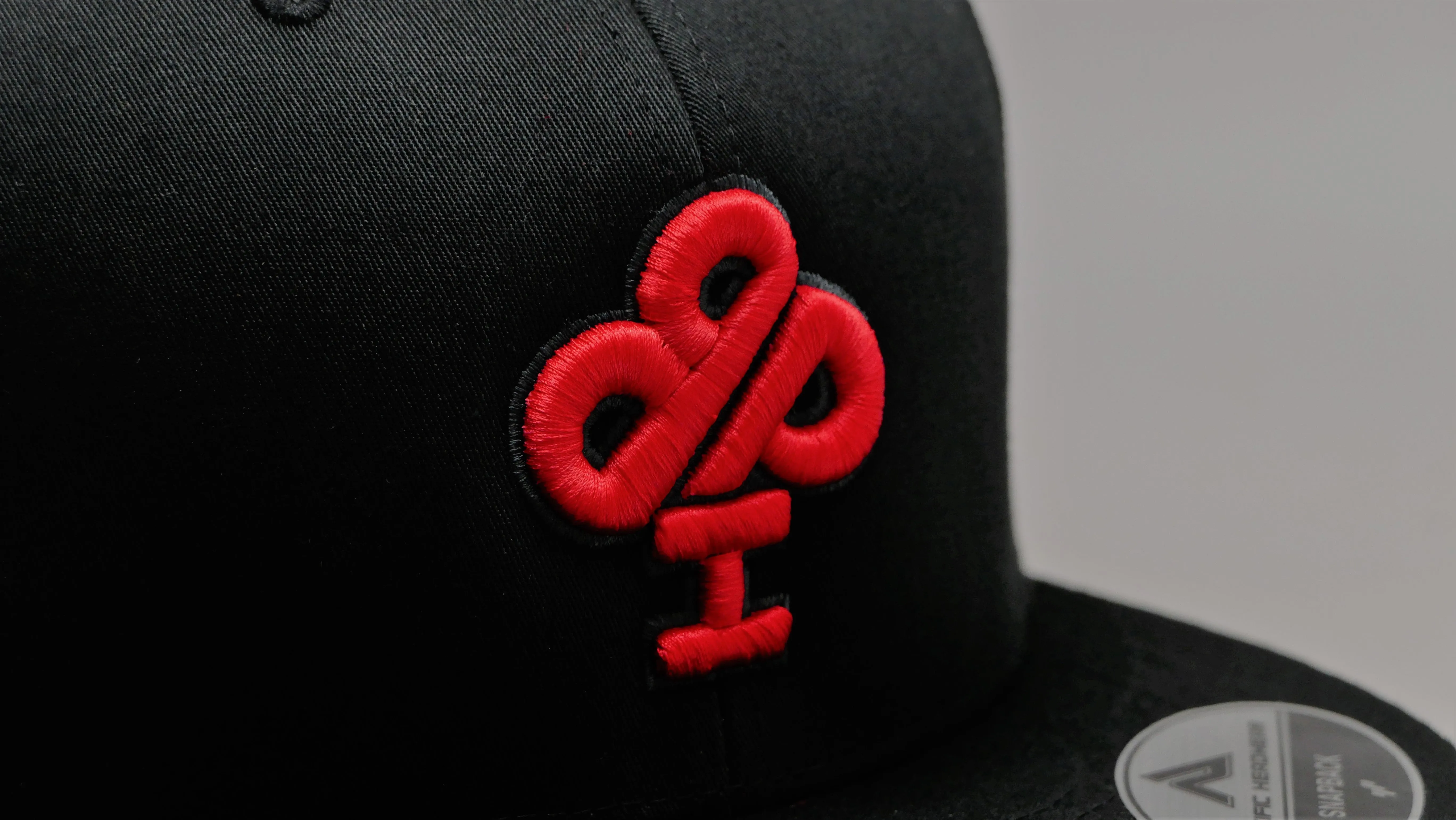 FIRE & ICE - Snapback Trucker Hat!